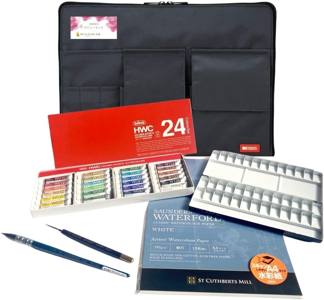 Ionantha Ron × Streptophylla Belize 速達発送 ティランジア